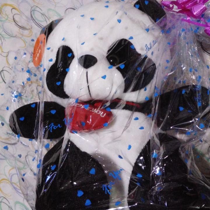 追寻者