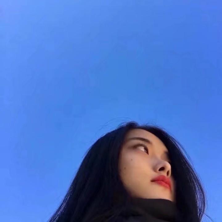 爱训练的马教练