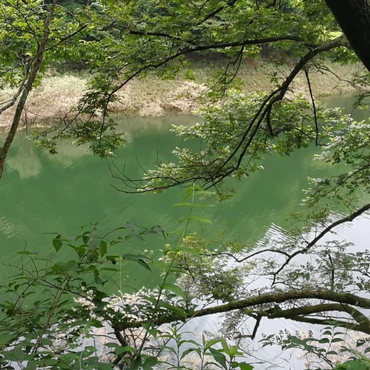 老仙