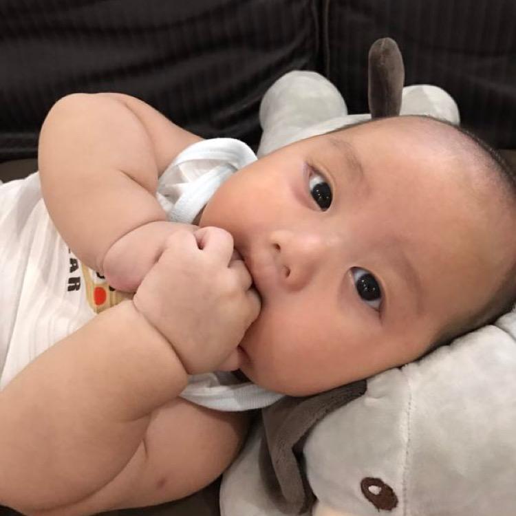 严之有李🇨🇳