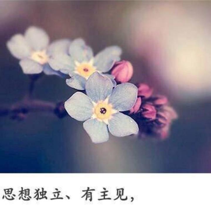 我的萝卜头们
