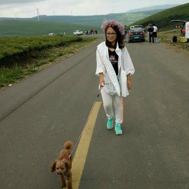 木马～木马🎠3173