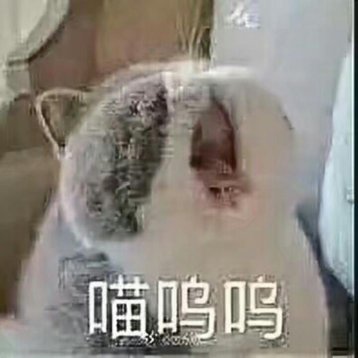 漓小小小小草～🍒