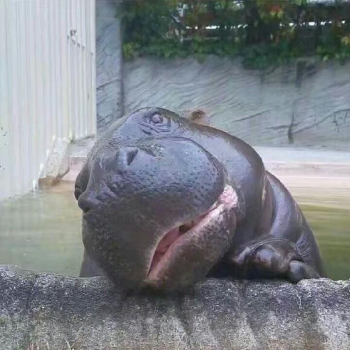 洪荒
