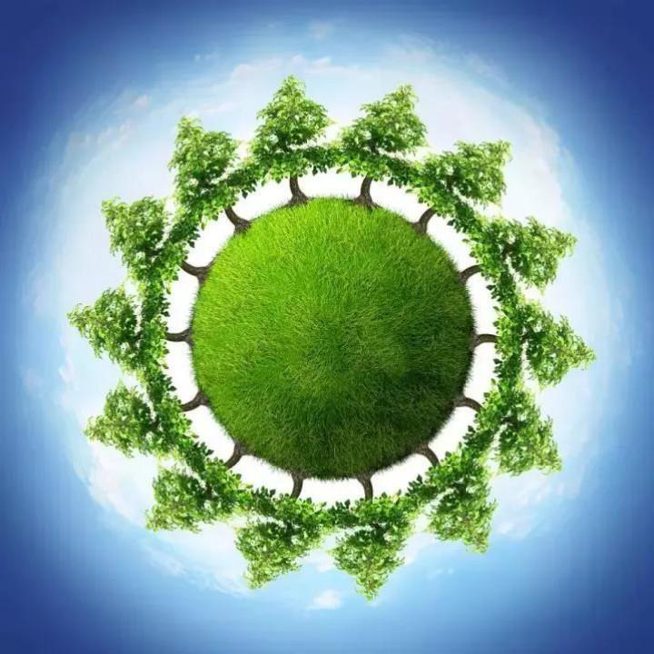 ☀️夏日风荷🍀⁵²¹⁷