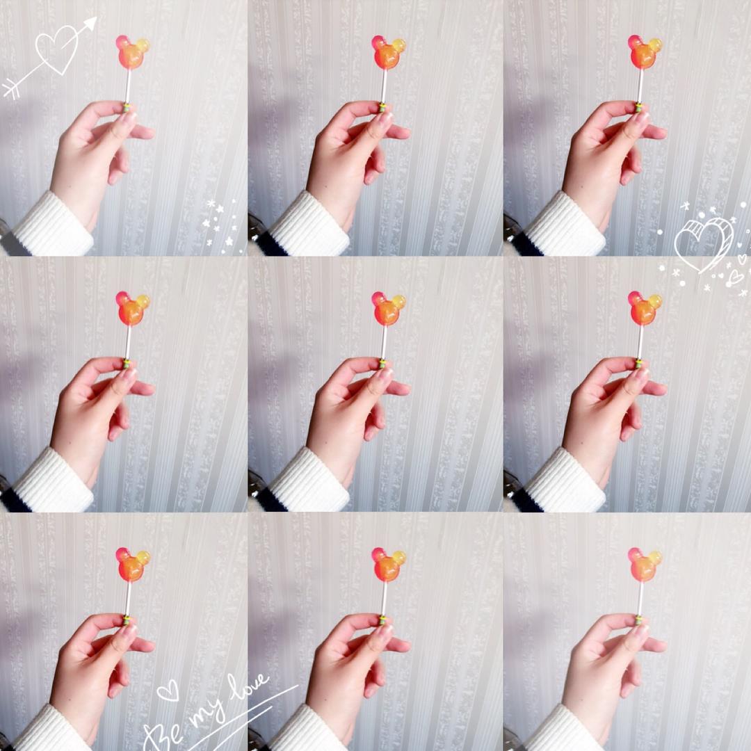 不要乌贼的好多鱼