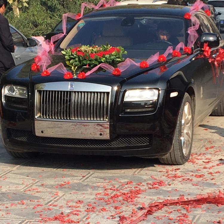 自由飞翔………………