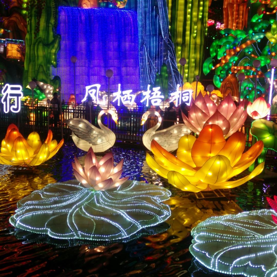 y缕阳光渲染整个世界