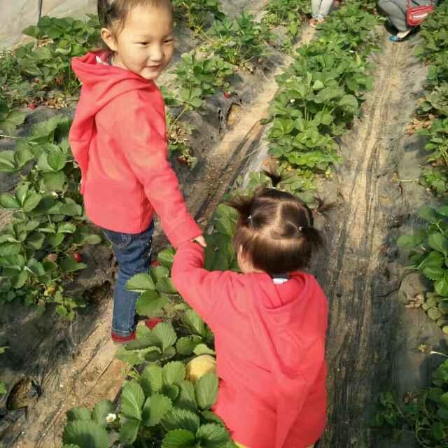 大懒虫_25295