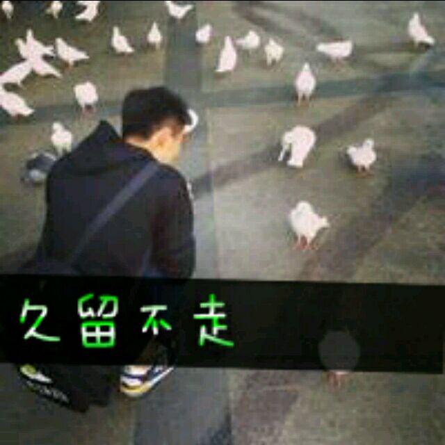 木棉花