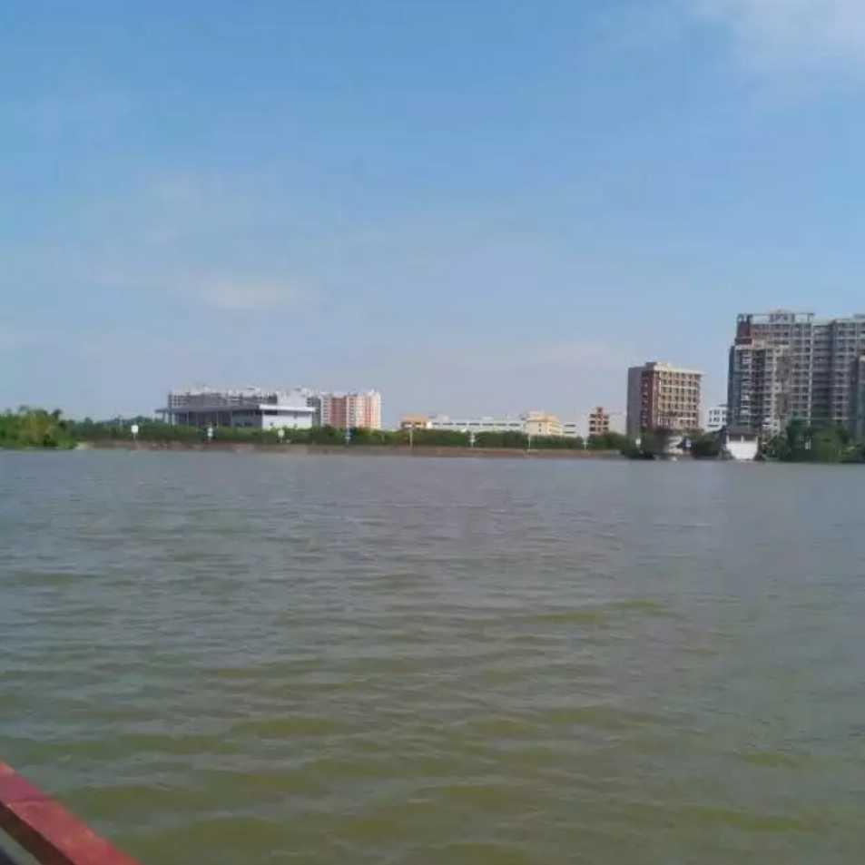wjhzyg绵羊训狮子