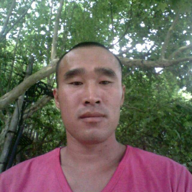 邹蜂子