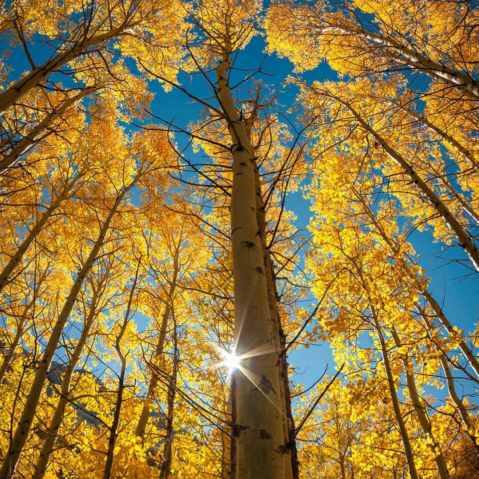 🌈大师兄666
