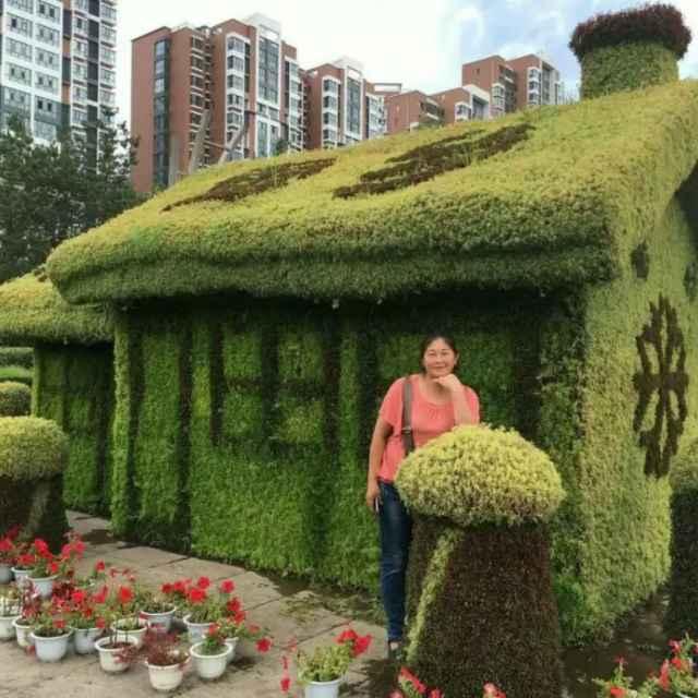 渴望幸福735
