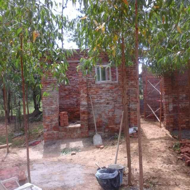 Msh：默石游天下