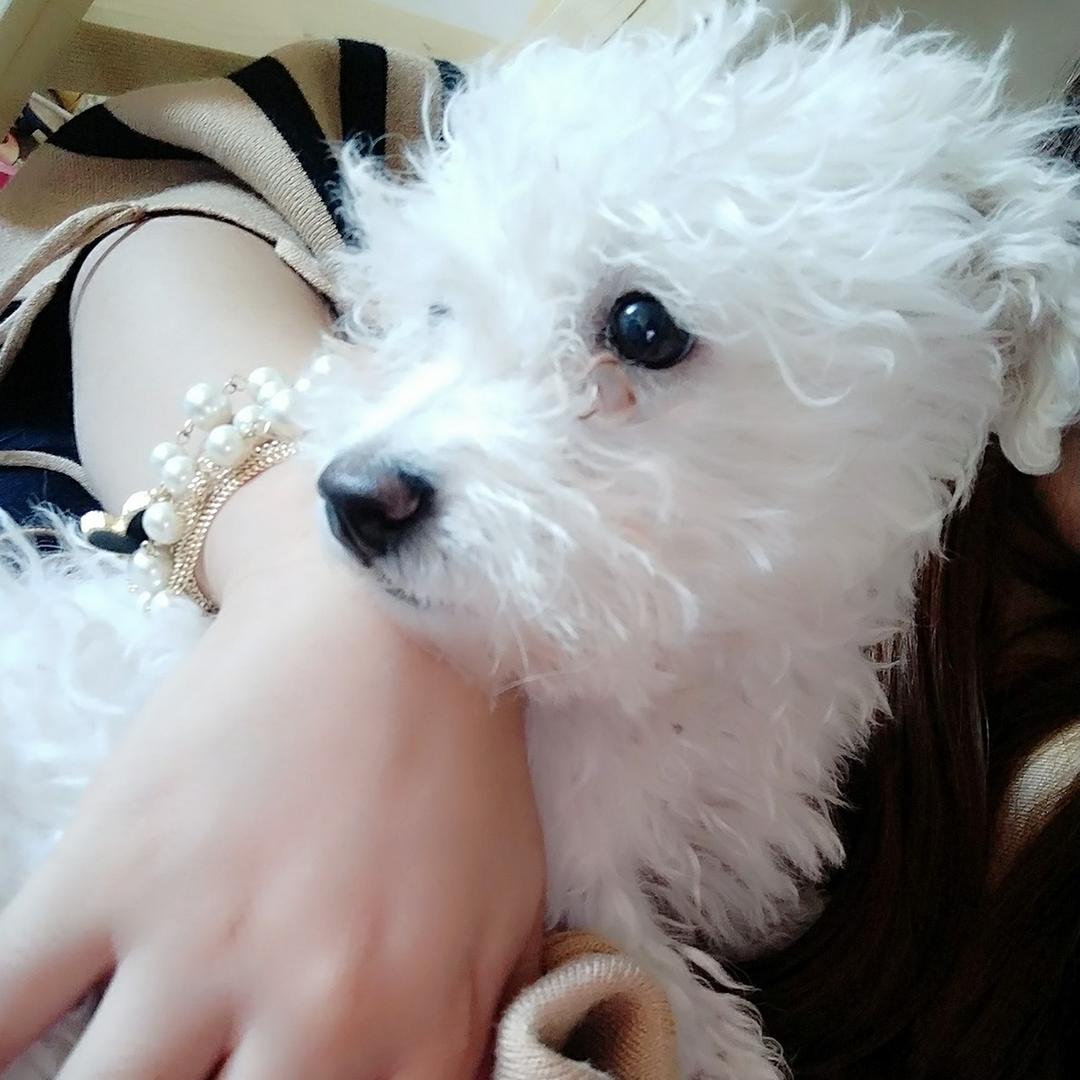 我的温柔只属于你一人