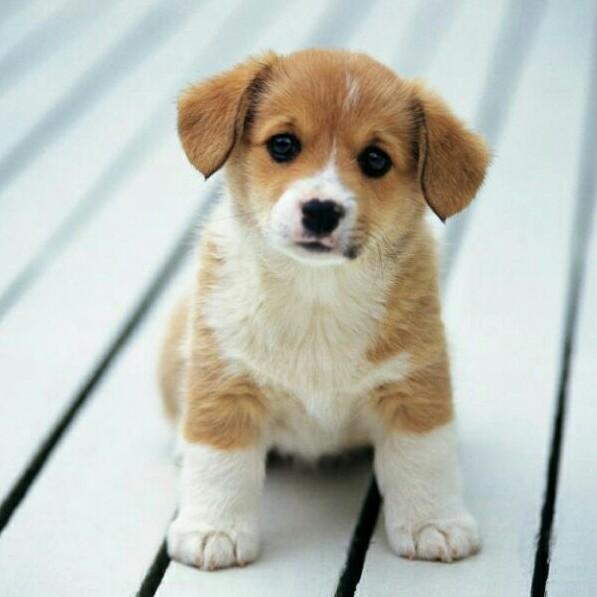 扬鞭策马奔苍茫