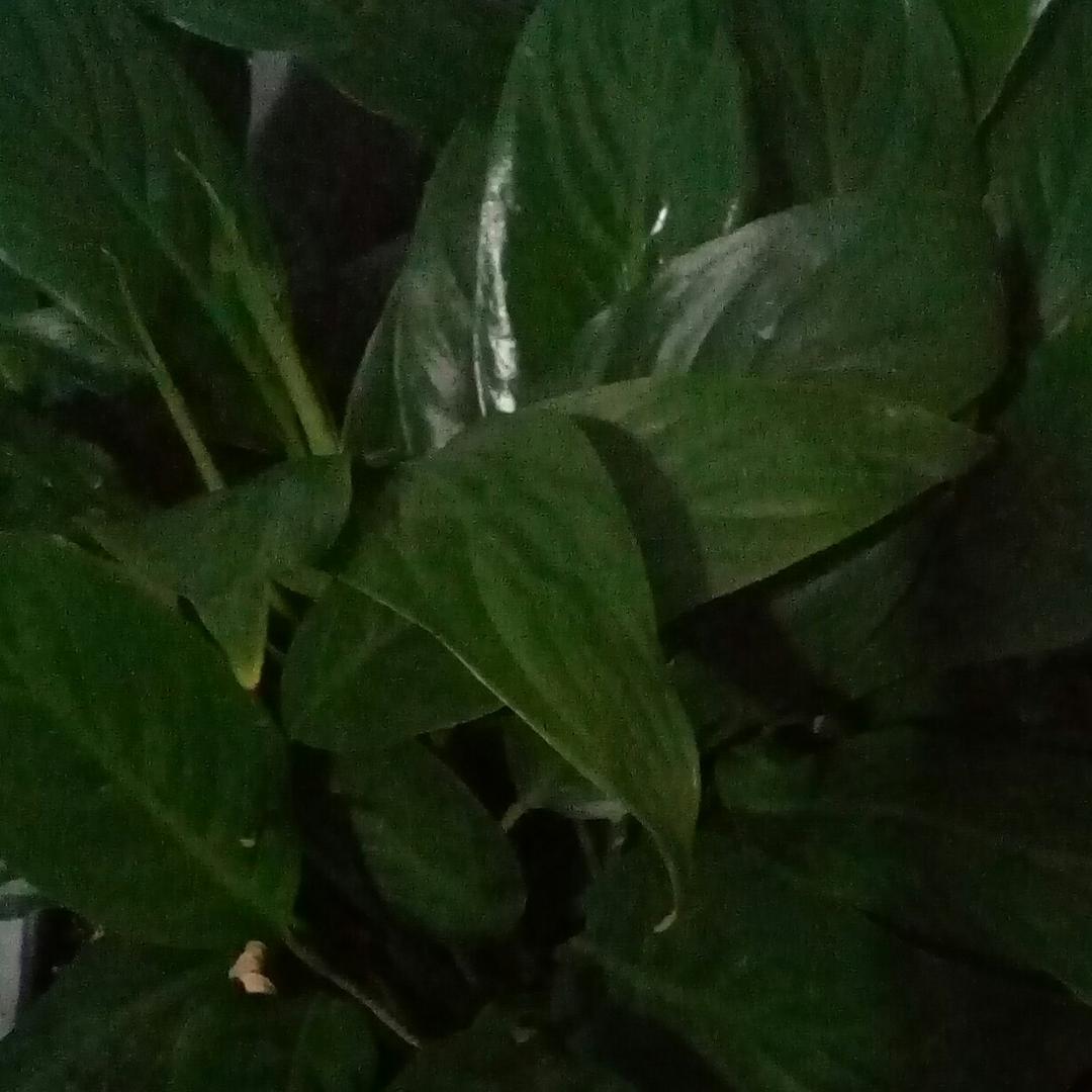 机械~电焊~维修达人