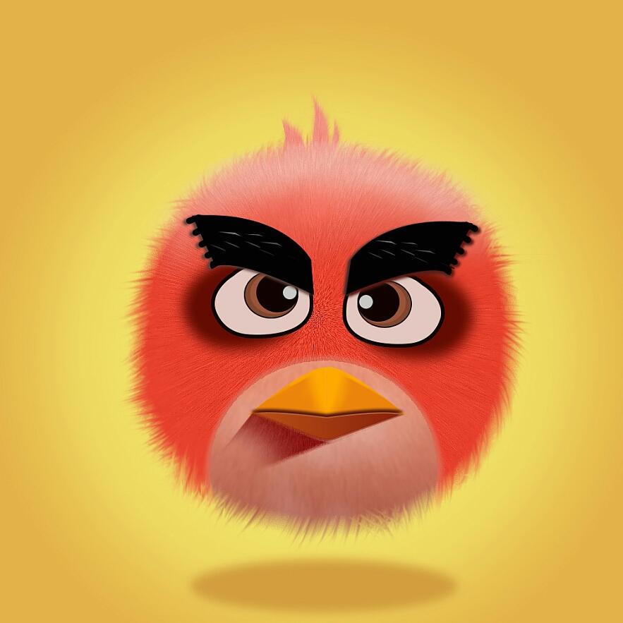 愤怒后的小鸟🐦