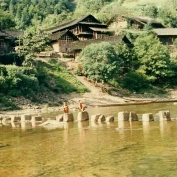 沅水柳