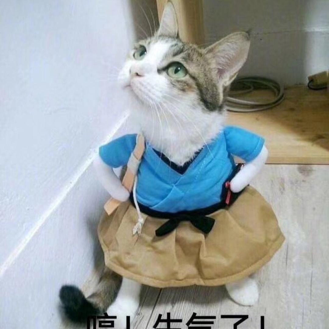 Zach的小可爱