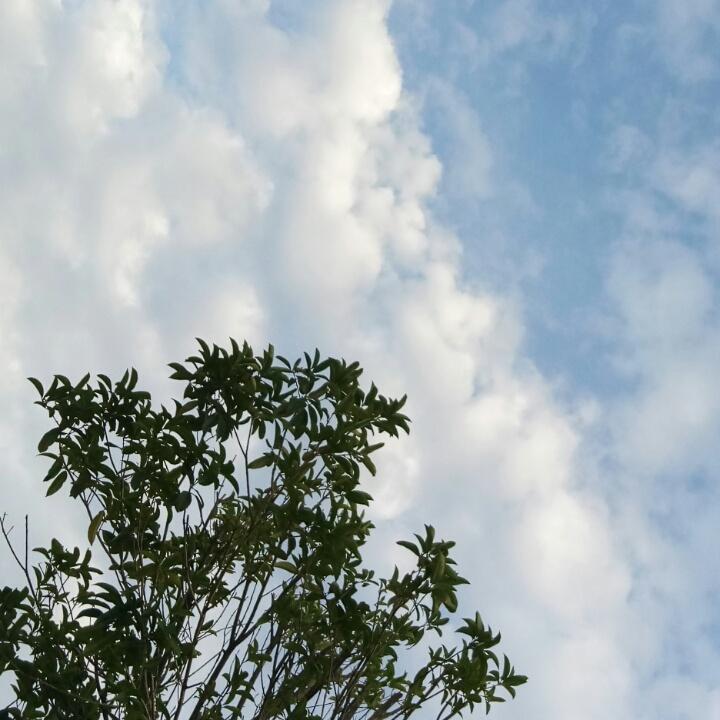 子越👏