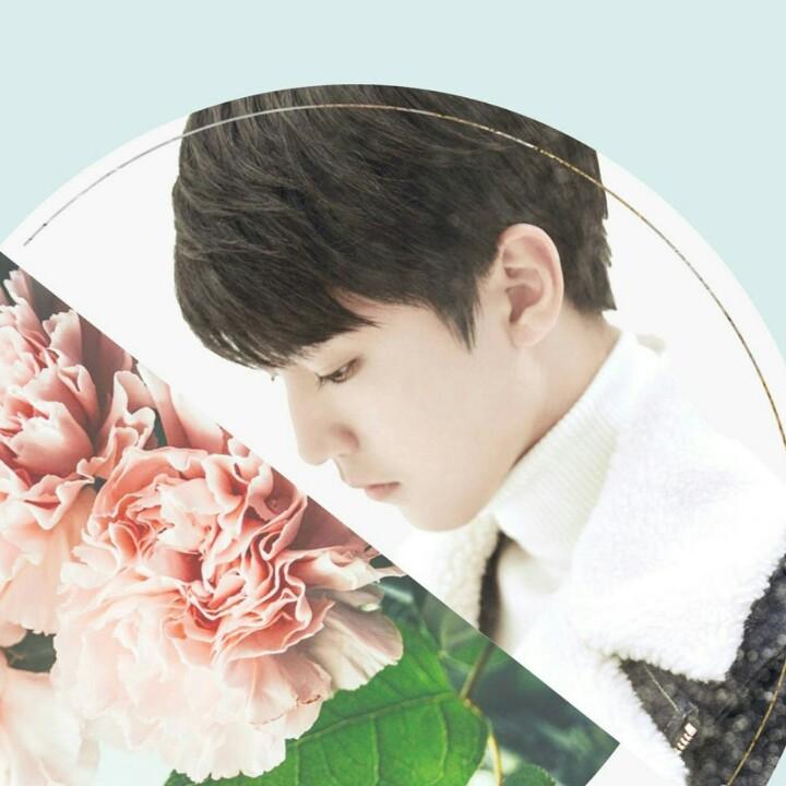 专业做水泥发泡，房顶保温