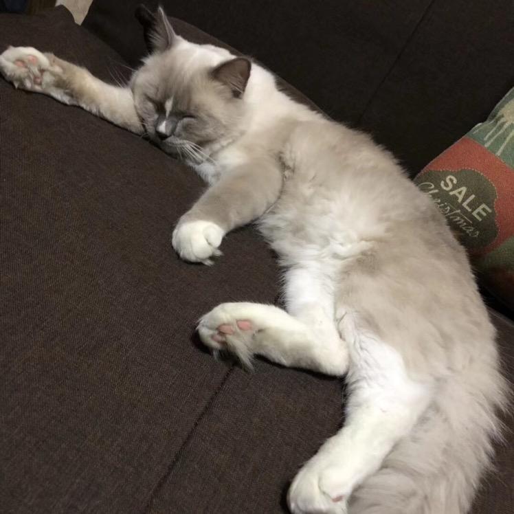 早起的鸟儿被虫吃