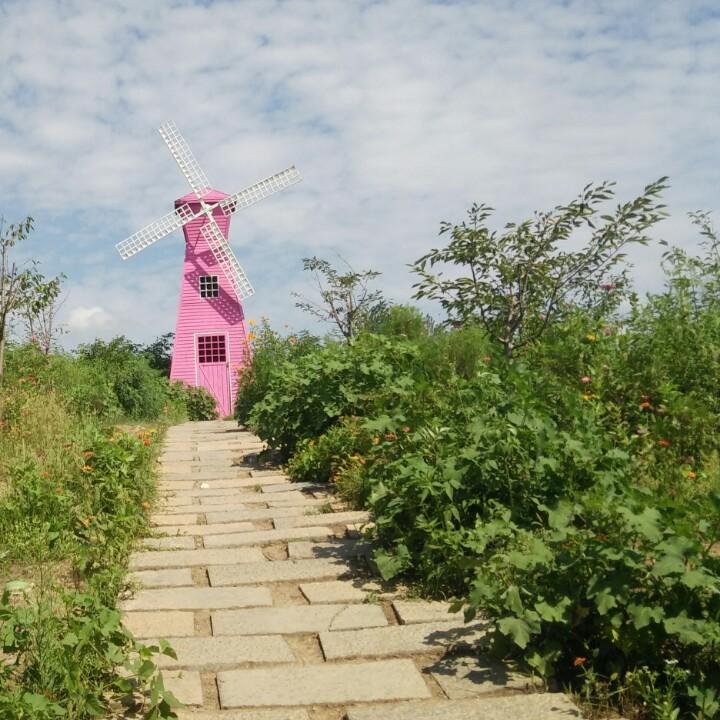 🍀幸运草~多多