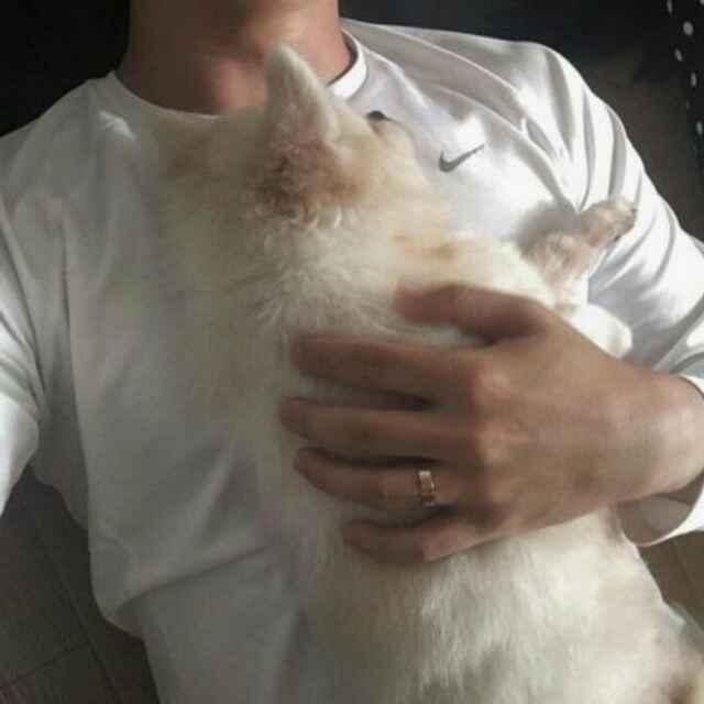 李十一