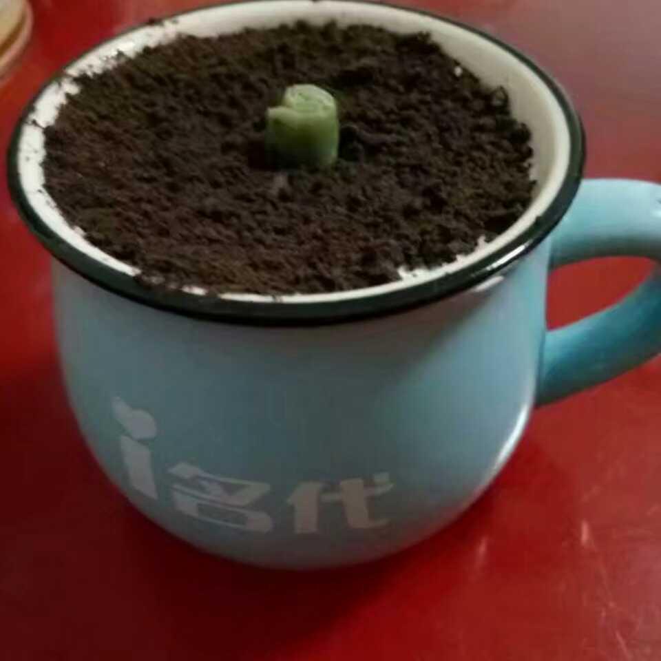 扬帆起航