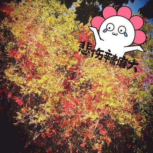 繁花