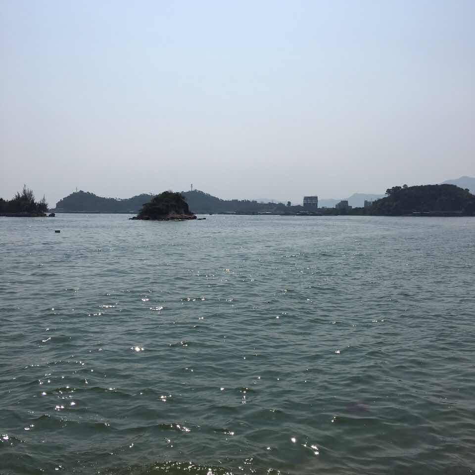 叶