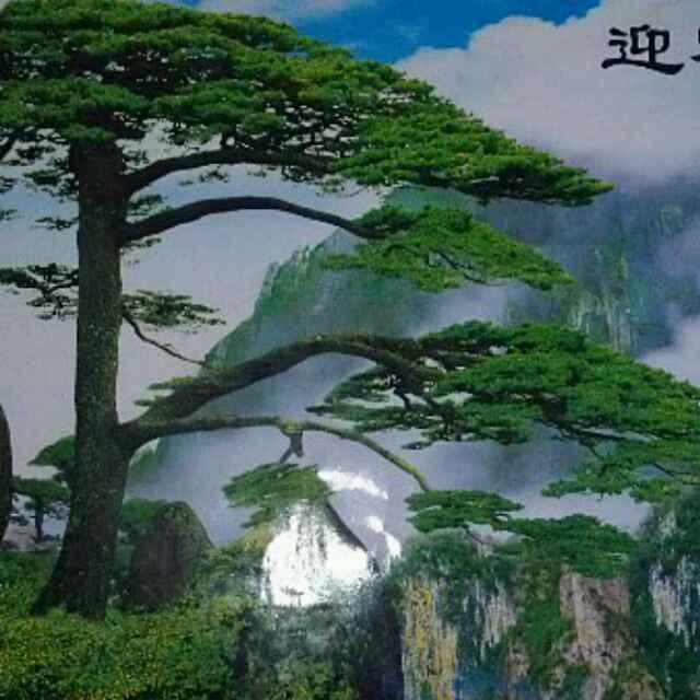 智尊宝纺电脑制版服装设计教学