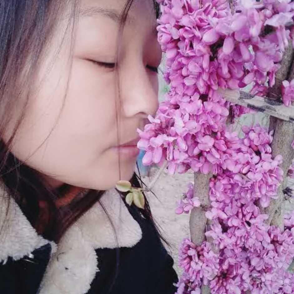 韦