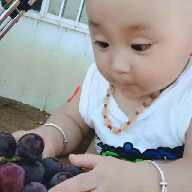 泌阳县，高店乡，润田家庭农场