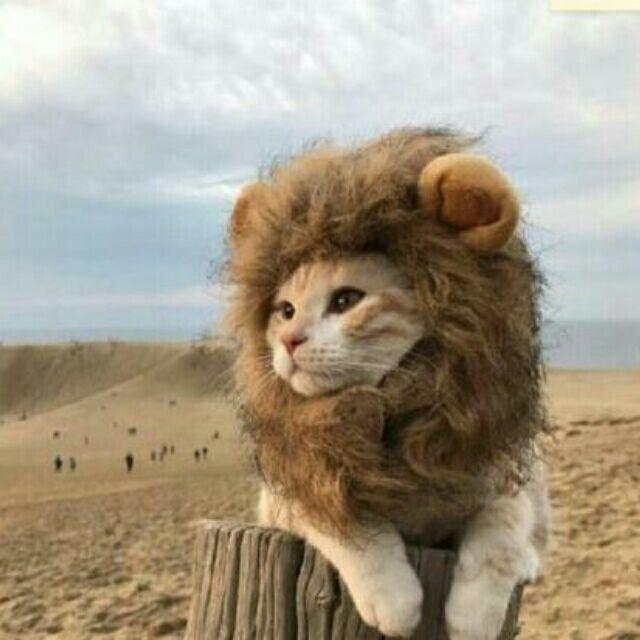 白给