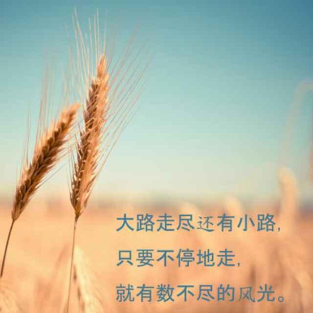 糖糖麻麻