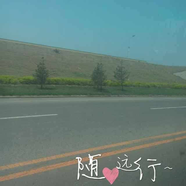 为谁画想思