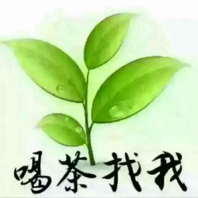 骑着猪追火车