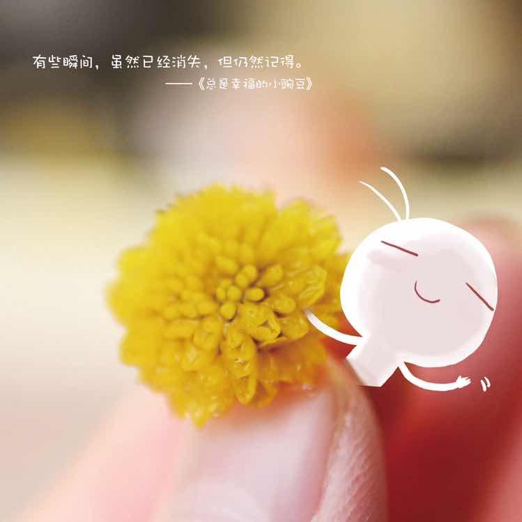 上海嘉定小字迷