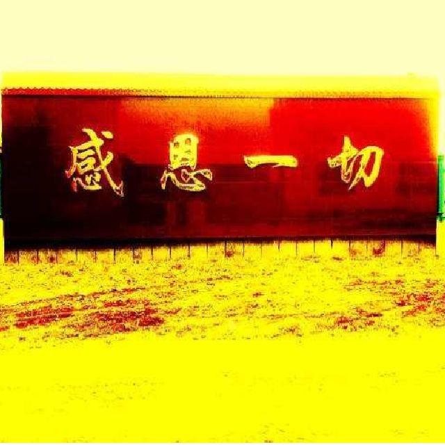 感恩$一切