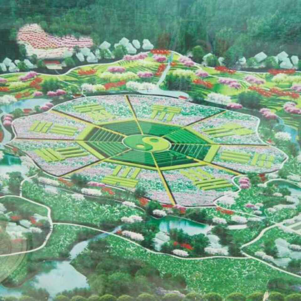 非李不可