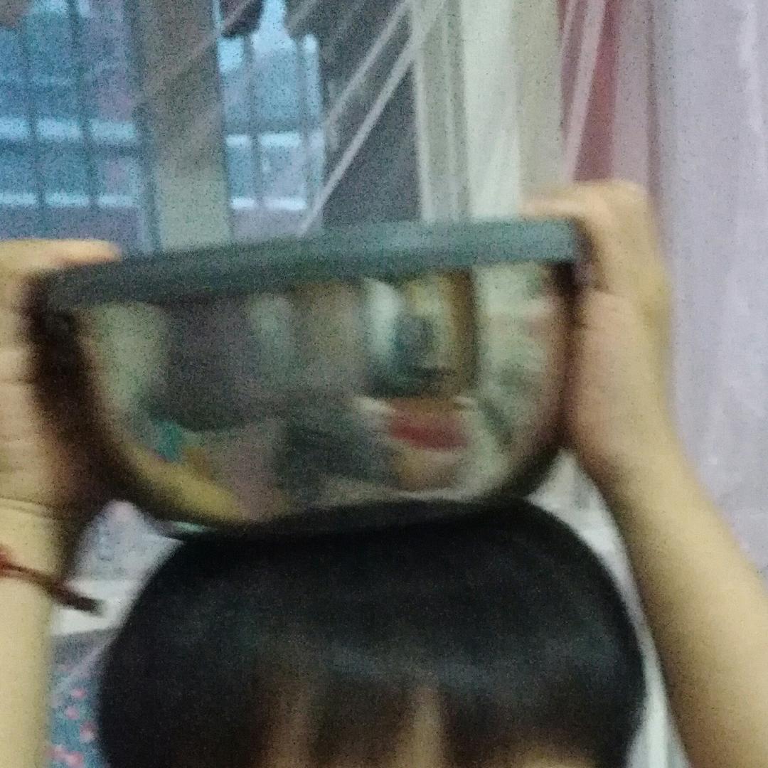 迎风看雪。