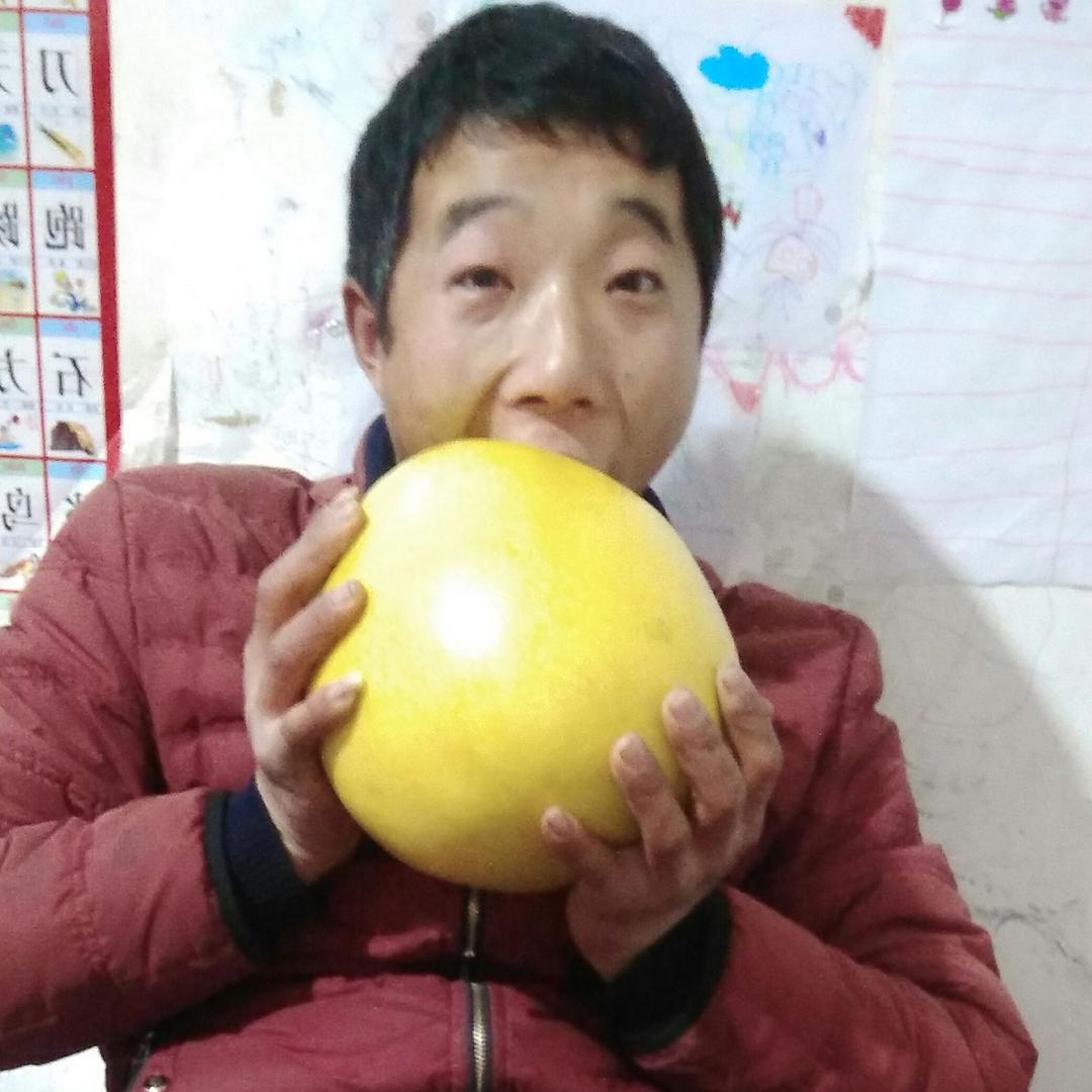 老二修农机