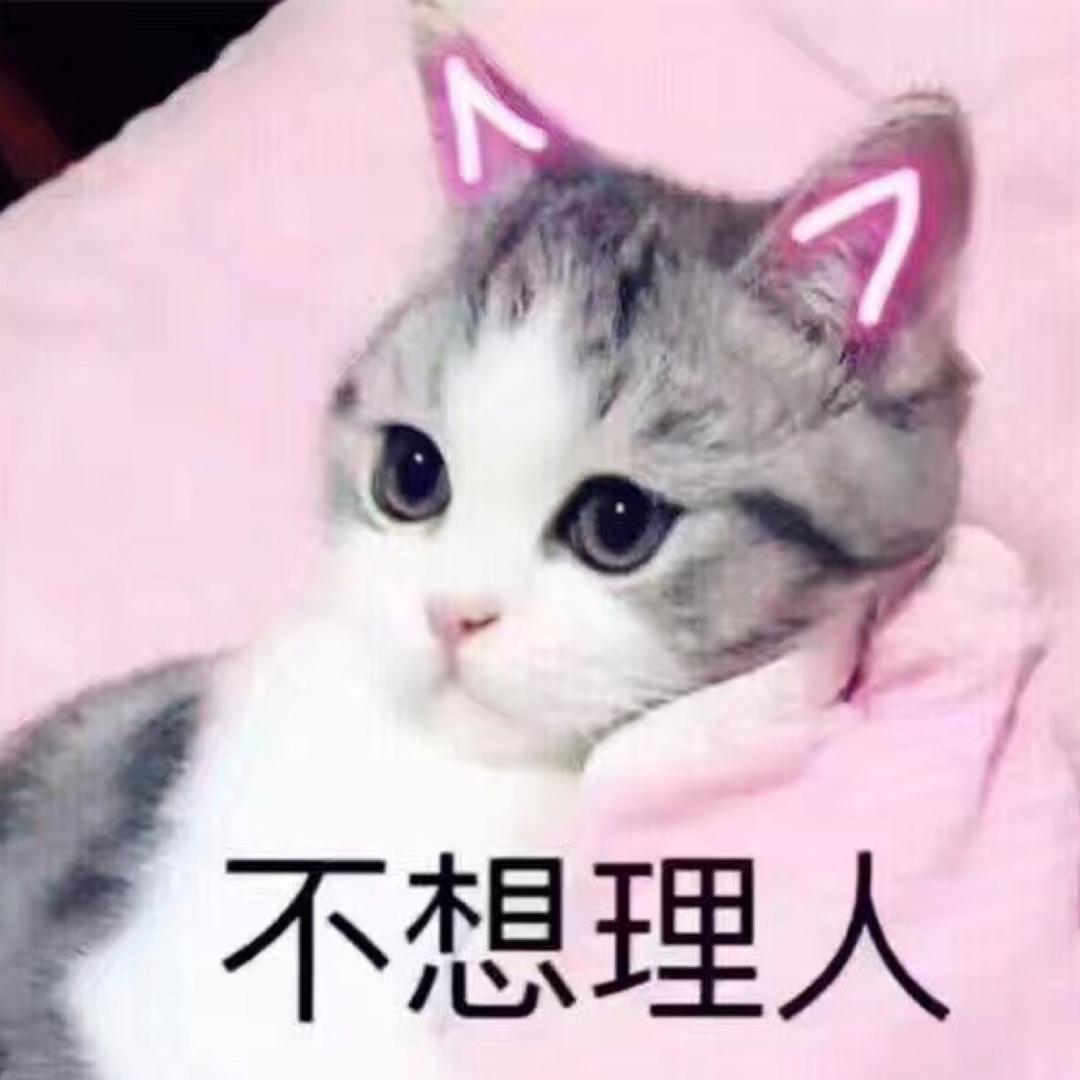 ☾⋆᭄⁵̶²̶º̶明♡₁̶₃̶₁̶4