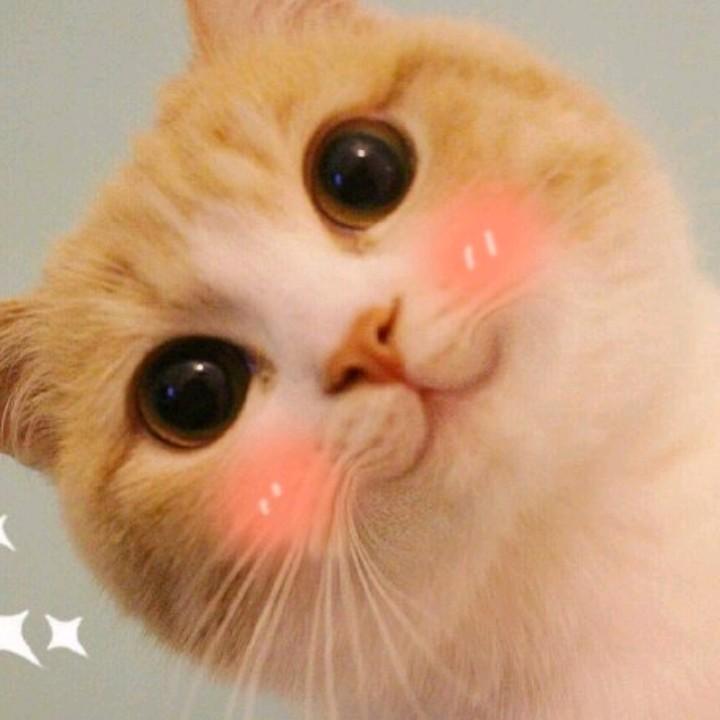青沐小铺