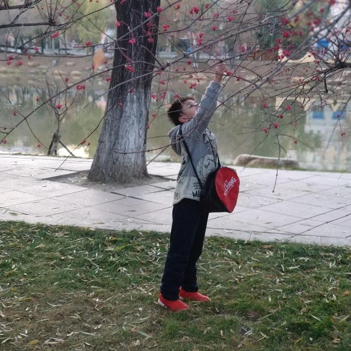 无泪的鱼（捡到一只小狗怎么办）