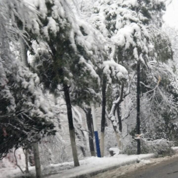 @黑马王子。
