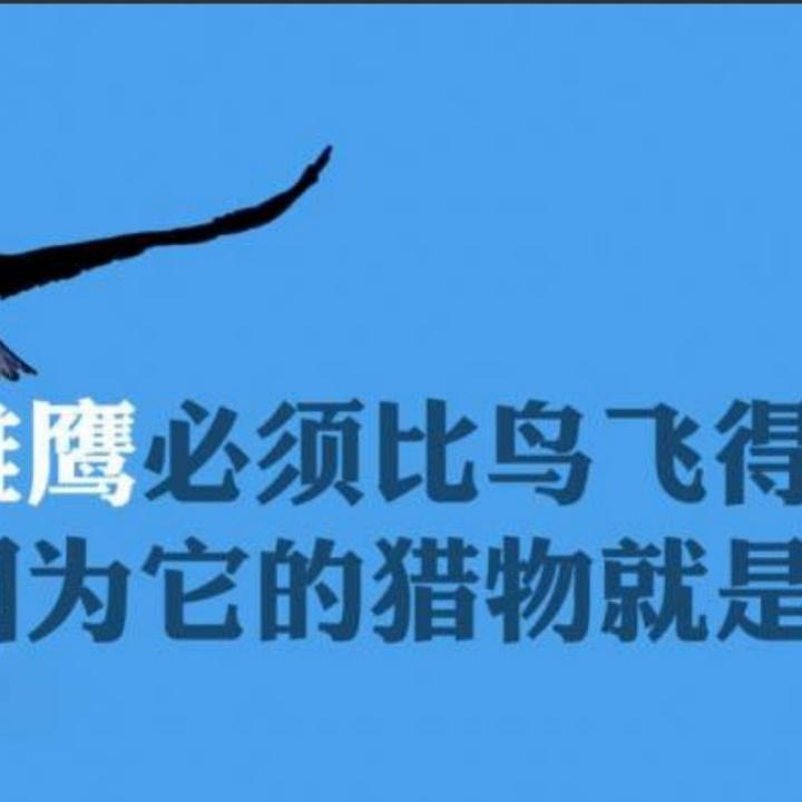龙哥